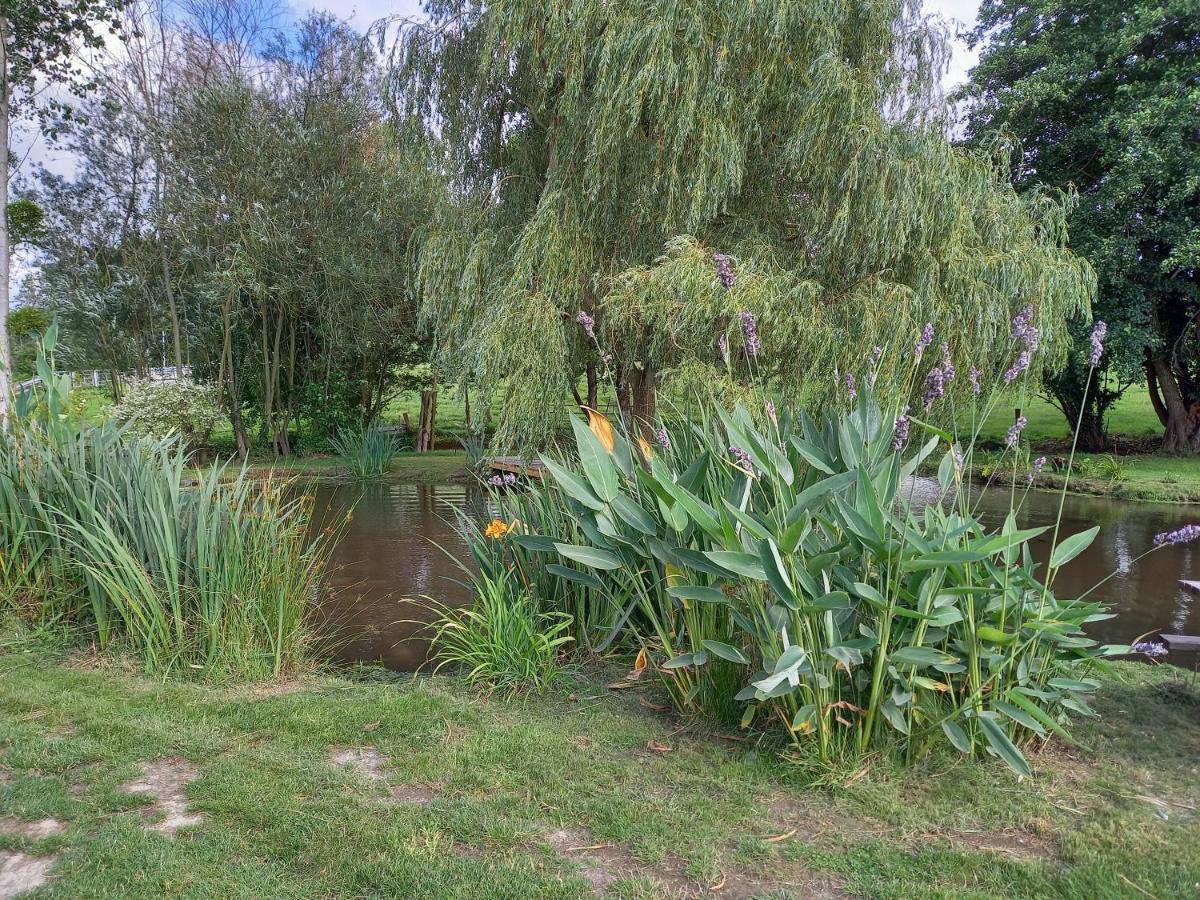 La Gasteboisiere With Swimming Pool And Games Room Le Mesnil-Adelee Exteriör bild